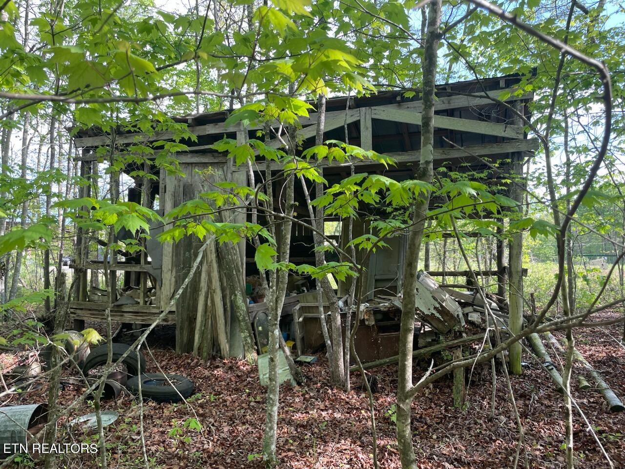 240 Perkins Trail Deer Lodge, TN 37726 - Photo 17 of 26 1000004992