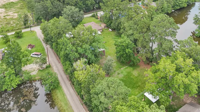 a view of a garden with plants