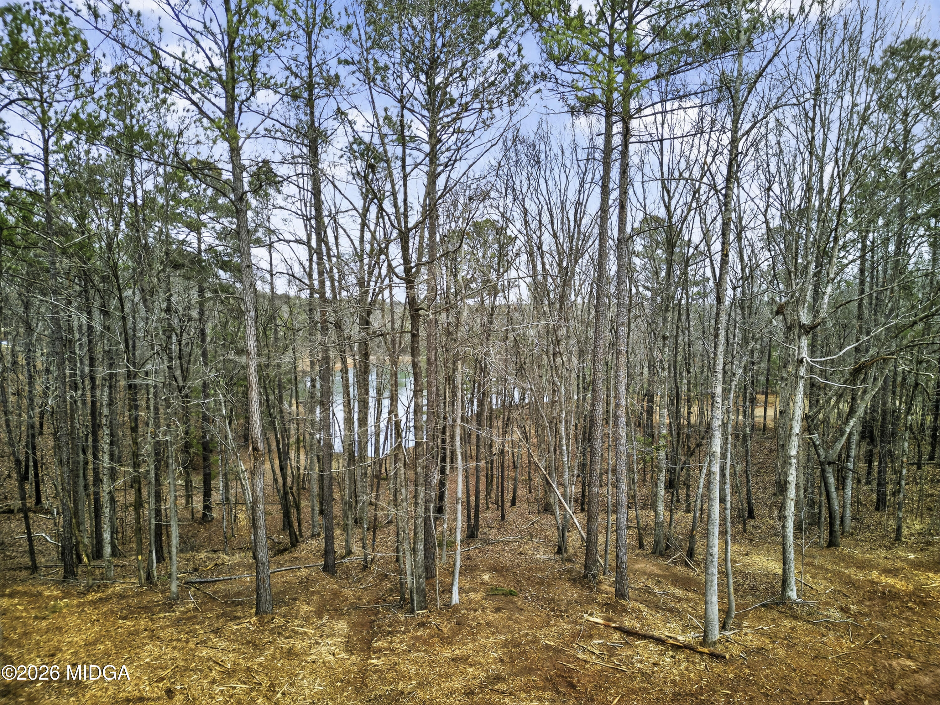 4156 Upper River Road Gray, GA 31032 - Photo 10 of 24 10