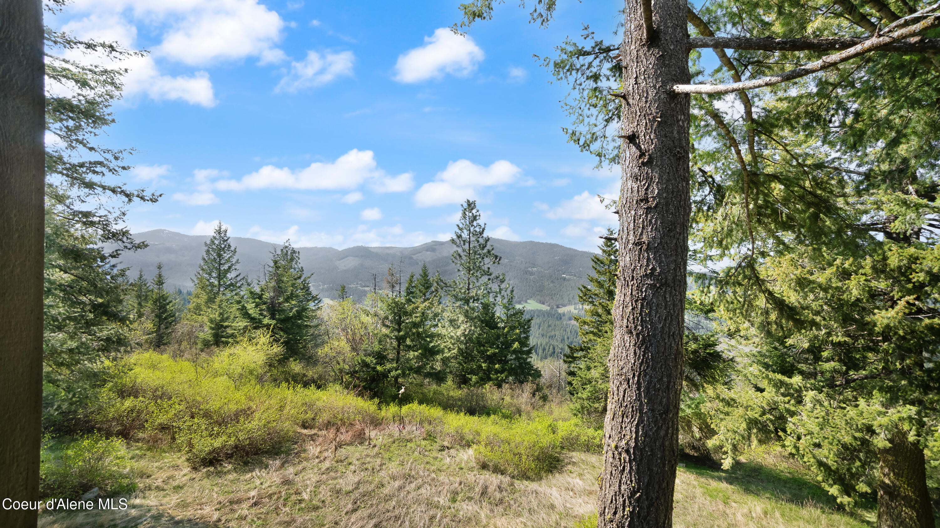 8517 West Eagle Ridge Road Coeur D'Alene, ID 83814 - Photo 36 of 37 8517WEagleRidgeRoad-EXTERIOR (15)