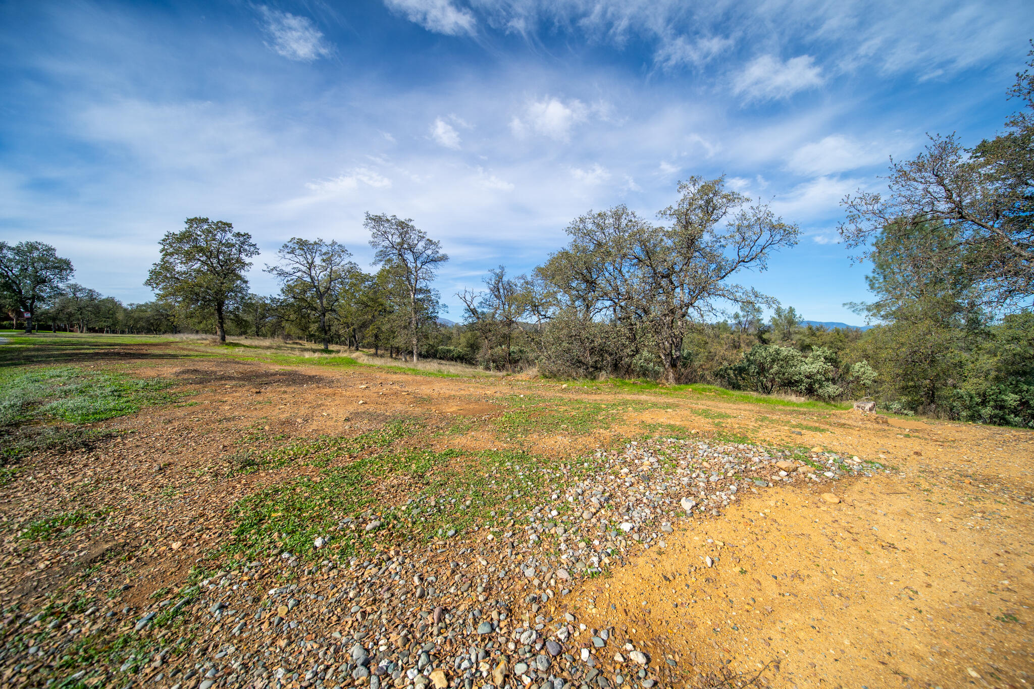 0 Weseman Road Redding, CA 96001 - Photo 5 of 19 a view of a yard with large trees