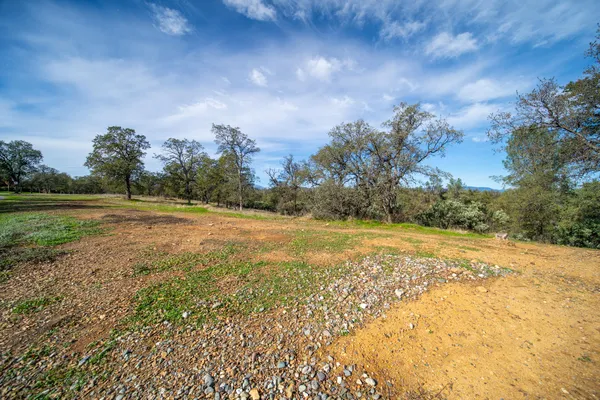 a view of outdoor space with trees all around