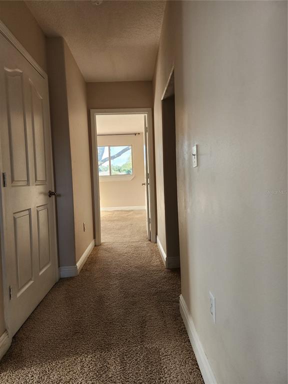 24247 Wolf Branch Road Sorrento, FL 32776 - Photo 31 of 67