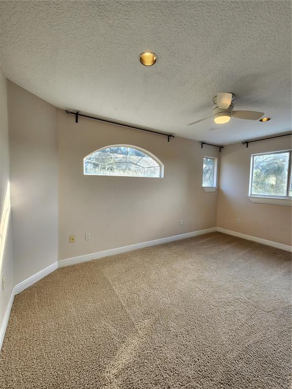 24247 Wolf Branch Road Sorrento, FL 32776 - Photo 34 of 67