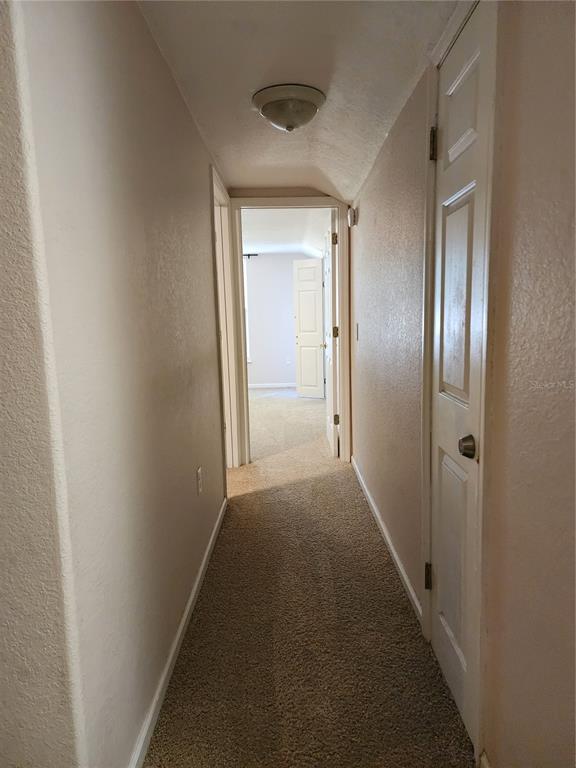 24247 Wolf Branch Road Sorrento, FL 32776 - Photo 38 of 67