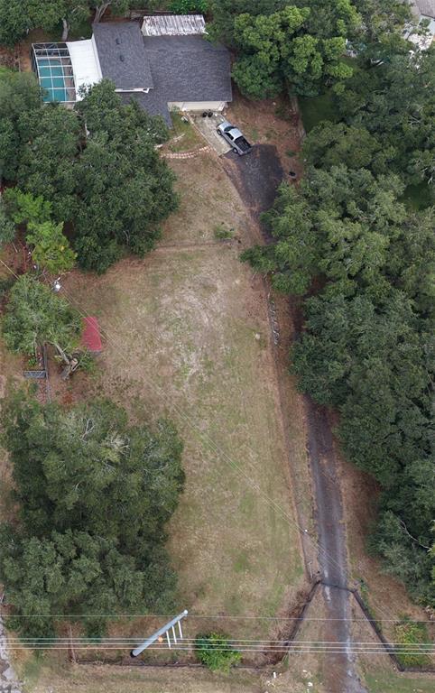 24247 Wolf Branch Road Sorrento, FL 32776 - Photo 65 of 67