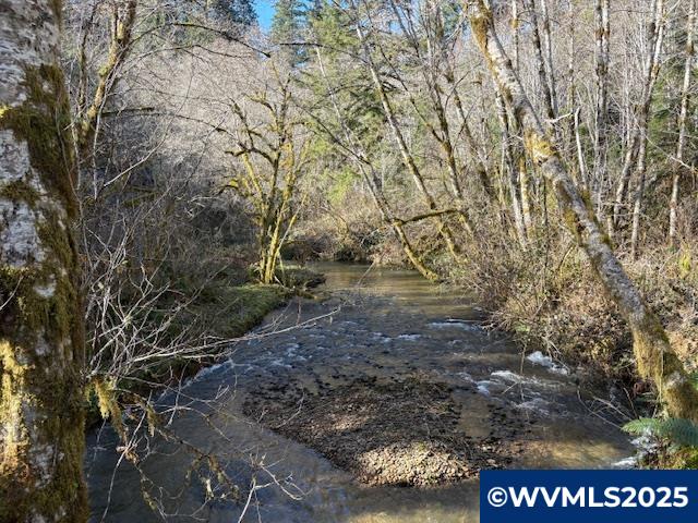 0 Steer Creek Road Blodgett, OR 97326 - Photo 1 of 14