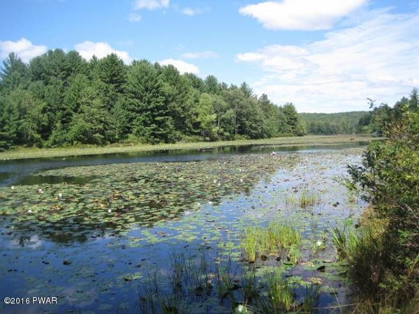 Greeley Lake Road Greeley, PA 18425 - Photo 1 of 7