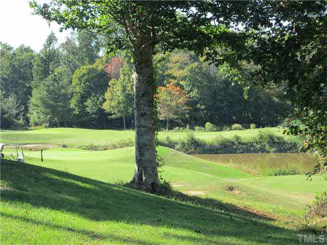 5 Chasewood Court Durham, NC 27703 - Photo 25 of 25 a view of a green field with a tree