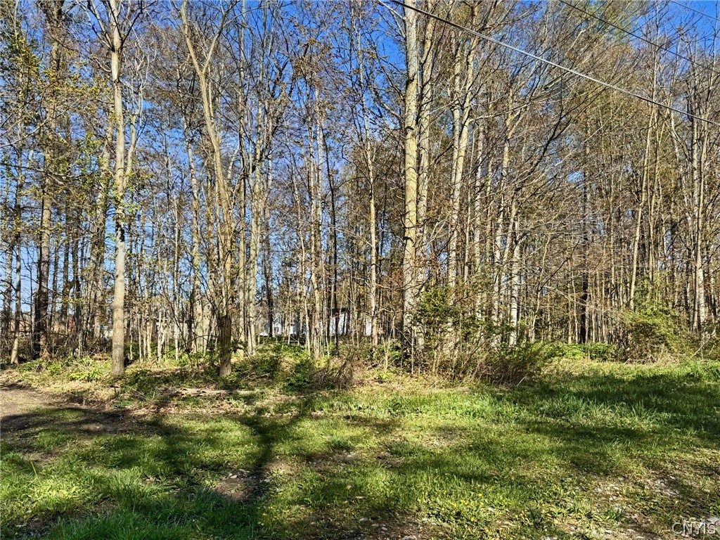 Elm Street Groton, NY 13073 - Photo 2 of 11