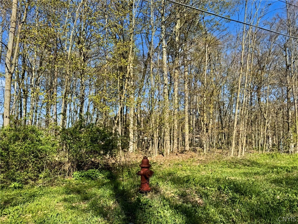 Elm Street Groton, NY 13073 - Photo 3 of 11