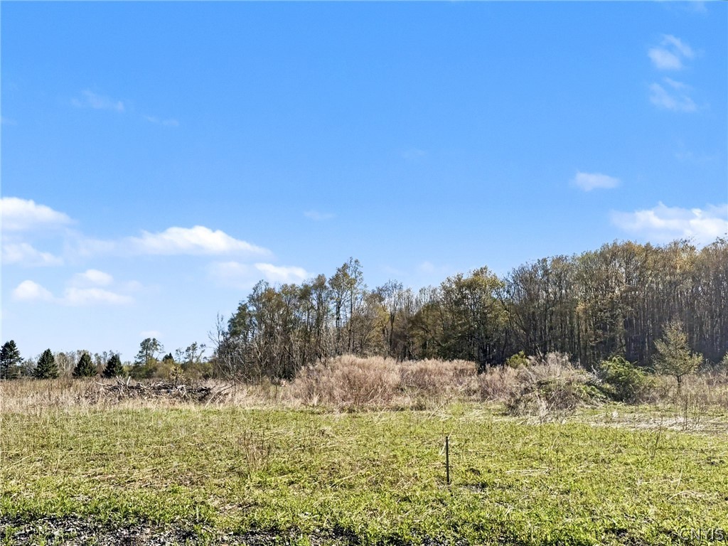 Elm Street Groton, NY 13073 - Photo 6 of 11