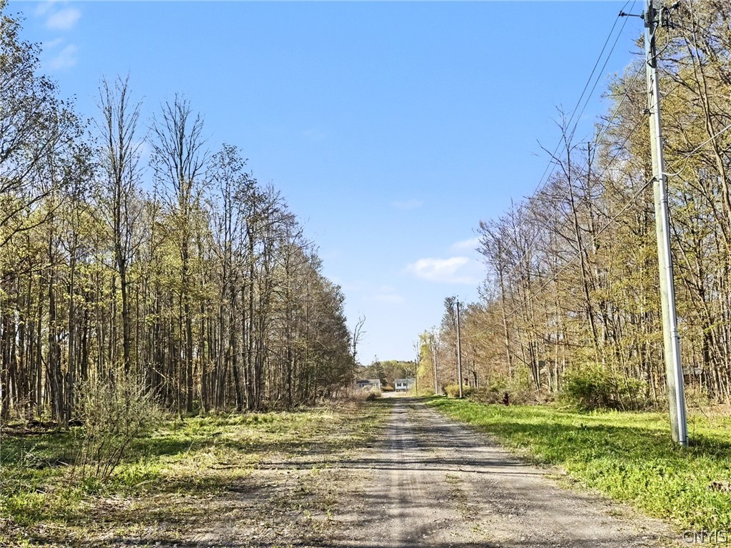 Elm Street Groton, NY 13073 - Photo 9 of 11