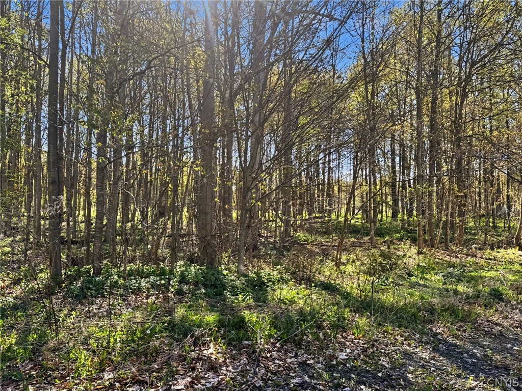 Elm Street Groton, NY 13073 - Photo 10 of 11