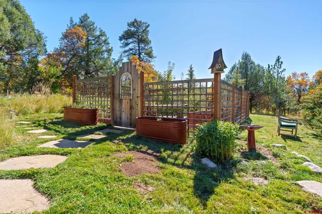 a view of a garden with a bench in a garden