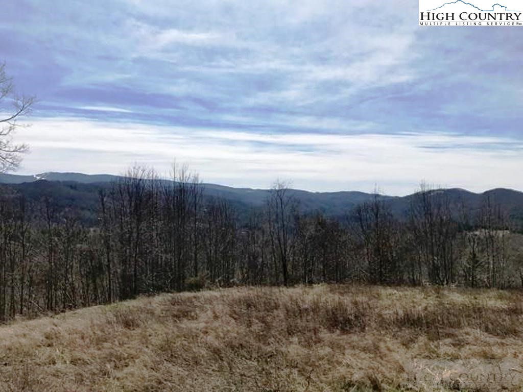 John Ward Road Sugar Grove, NC 28679 - Photo 8 of 11 Gallery Image 8