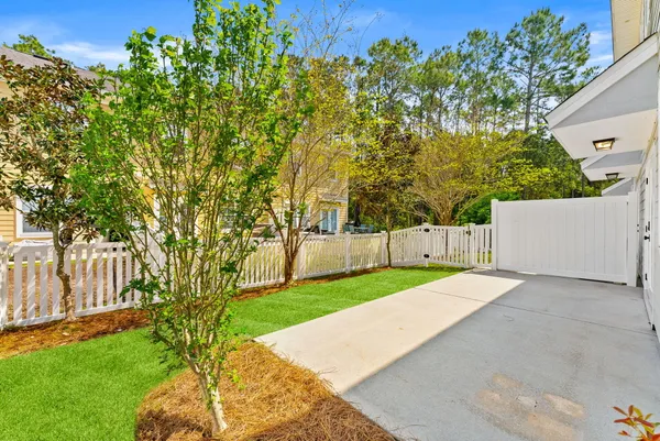 a view of a backyard