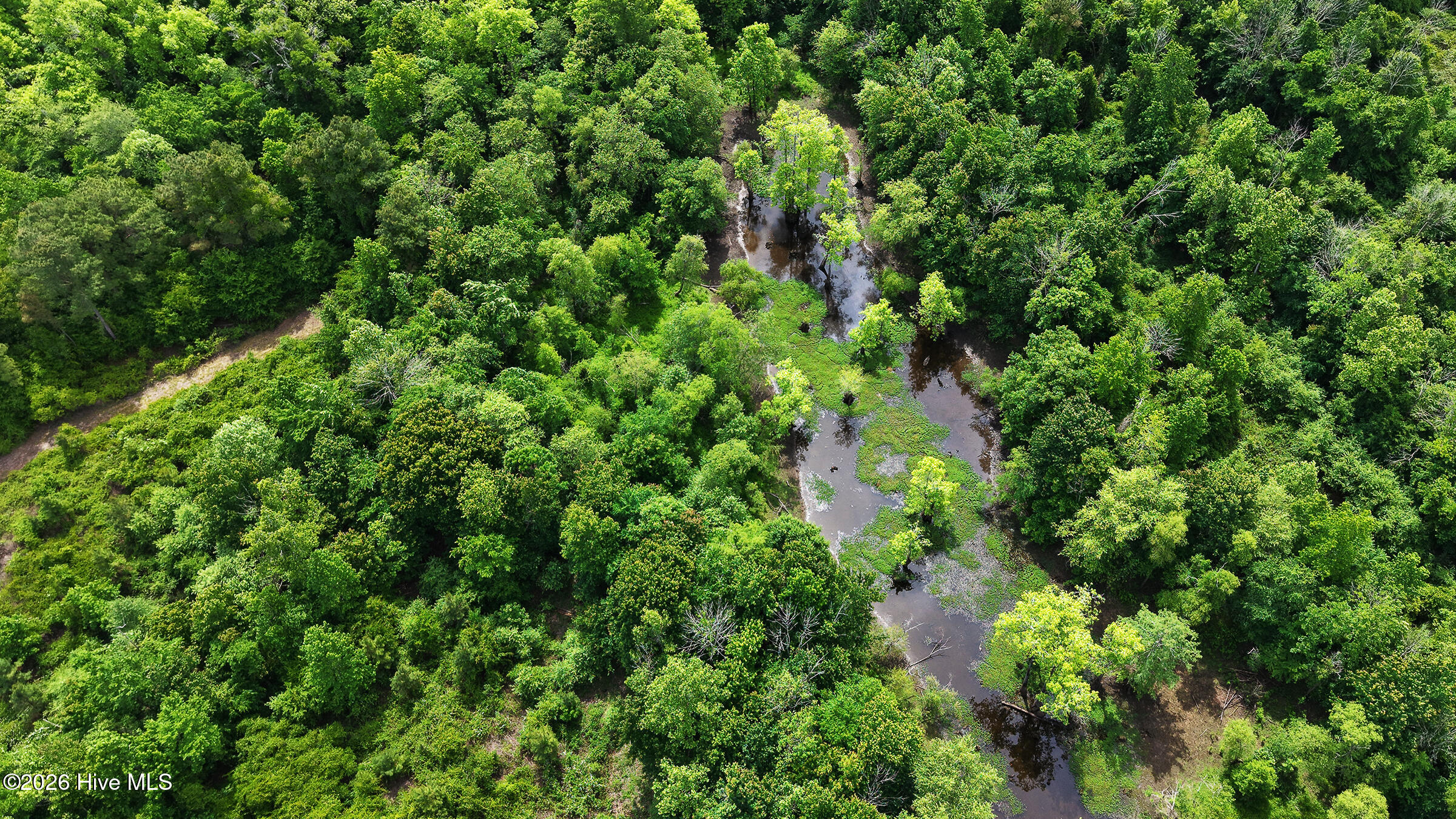 1016 Wiley Gaskins Road Grifton, NC 28530 - Photo 68 of 79 75-print-Drone 1016 Wiley Gaskins Road-2