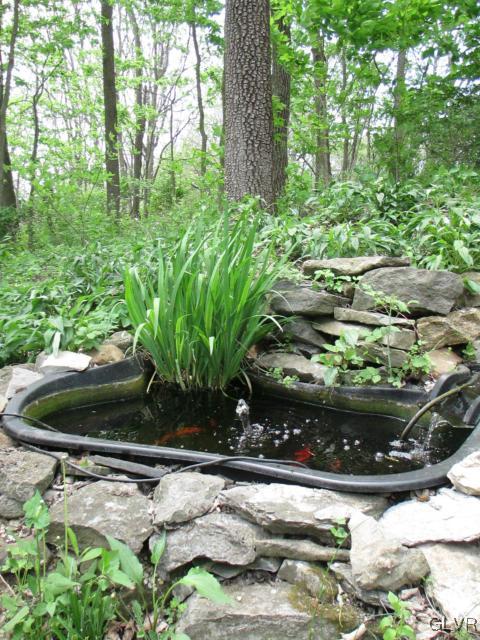 317 Filetown Road Nazareth, PA 18064 - Photo 25 of 37 a view of a backyard with plants and large trees