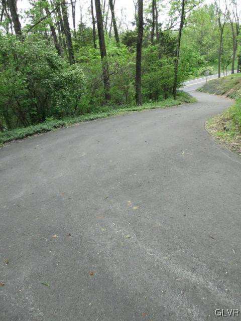 317 Filetown Road Nazareth, PA 18064 - Photo 3 of 37 a view of a dirt road with trees in the background
