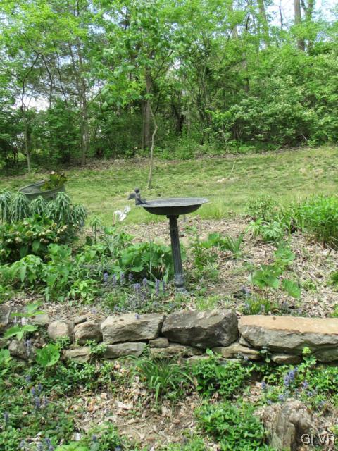 317 Filetown Road Nazareth, PA 18064 - Photo 34 of 37 a big yard with lots of green space and plants