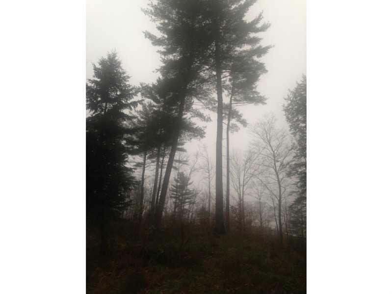 41 Colby Miller Road Wilton, ME 04294 - Photo 3 of 8 Land/Lot.