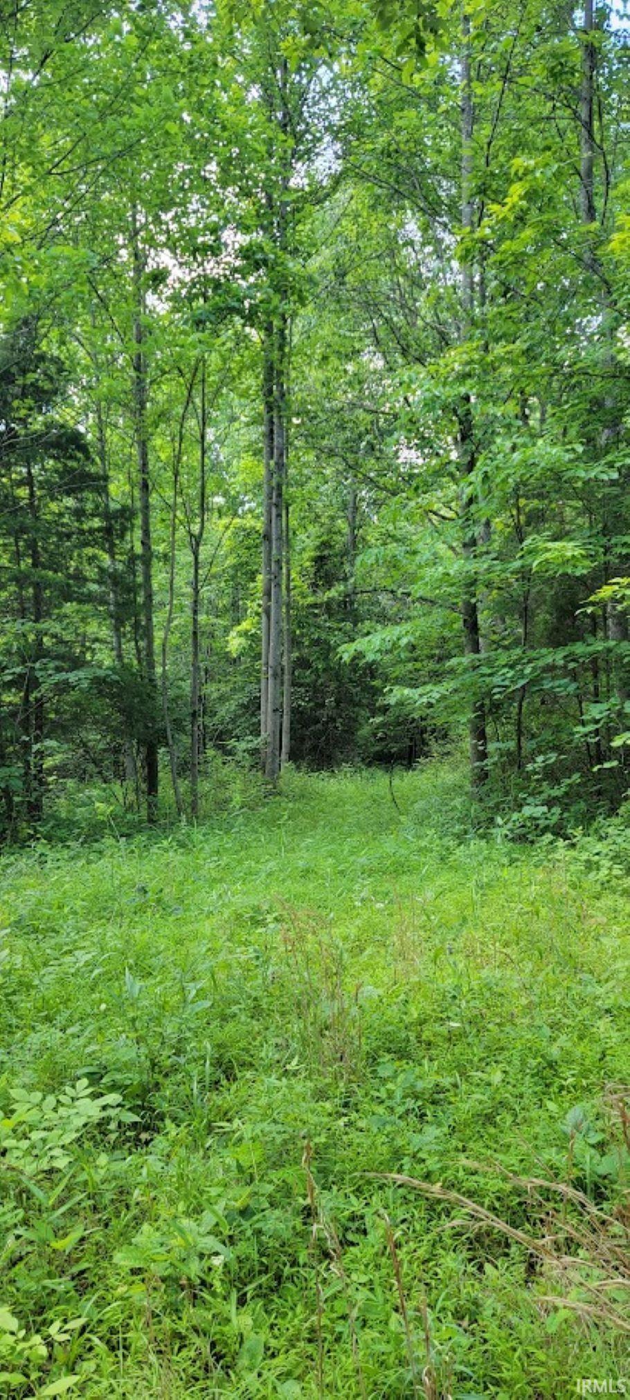 332 Breezy Hill Road Bedford, IN 47421 - Photo 14 of 19