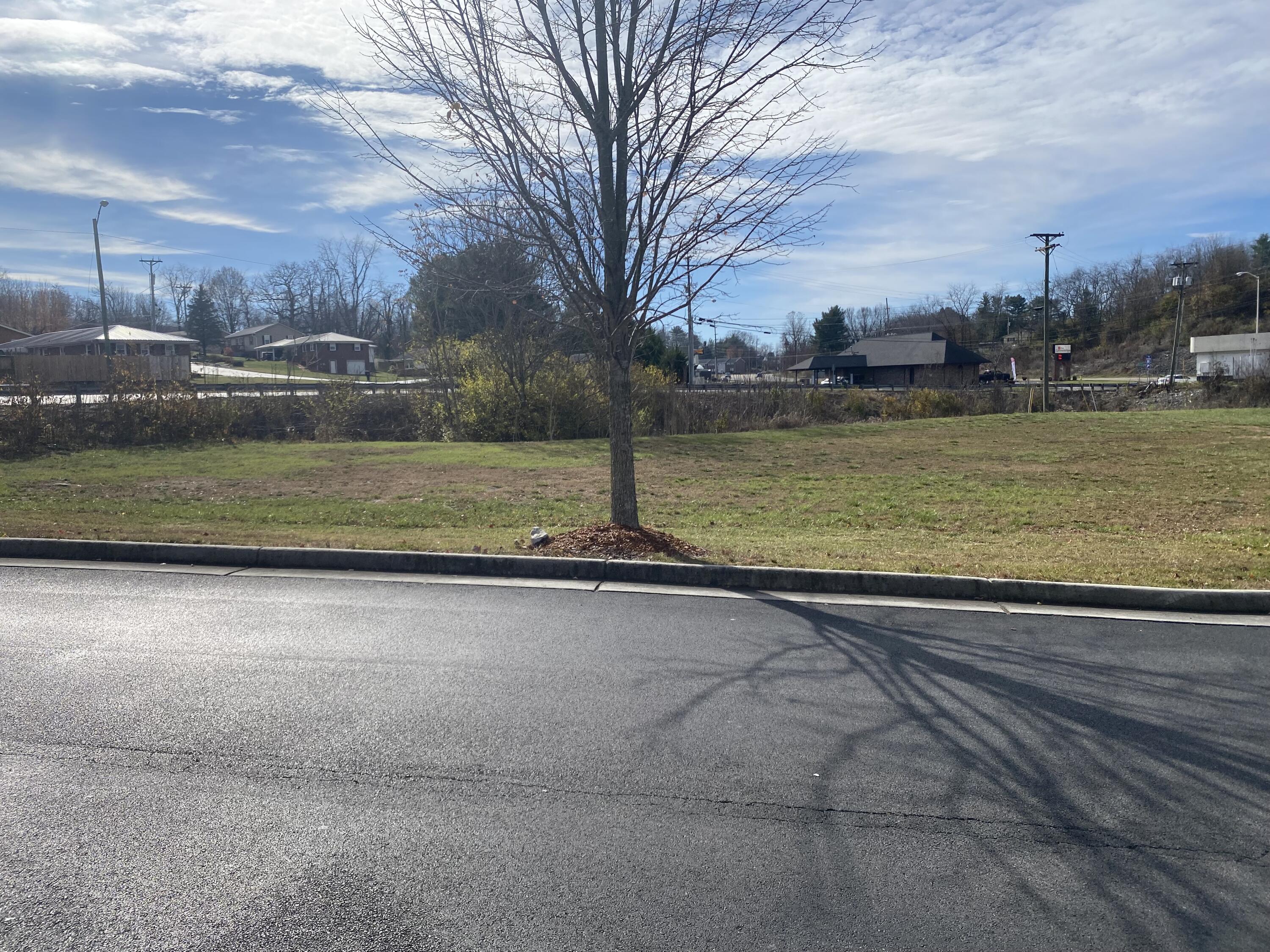 0 Stage Coach Road Bristol, VA 24201 - Photo 7 of 8 IMG_2765