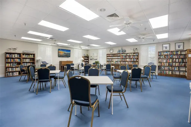 a view of a park with palm trees