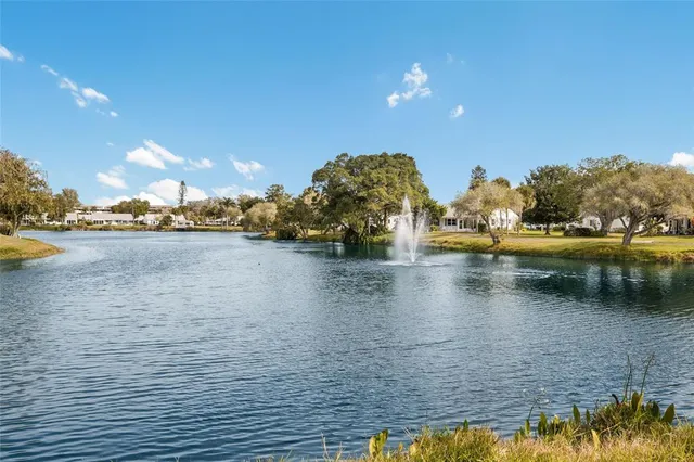 a view of lake and mountain