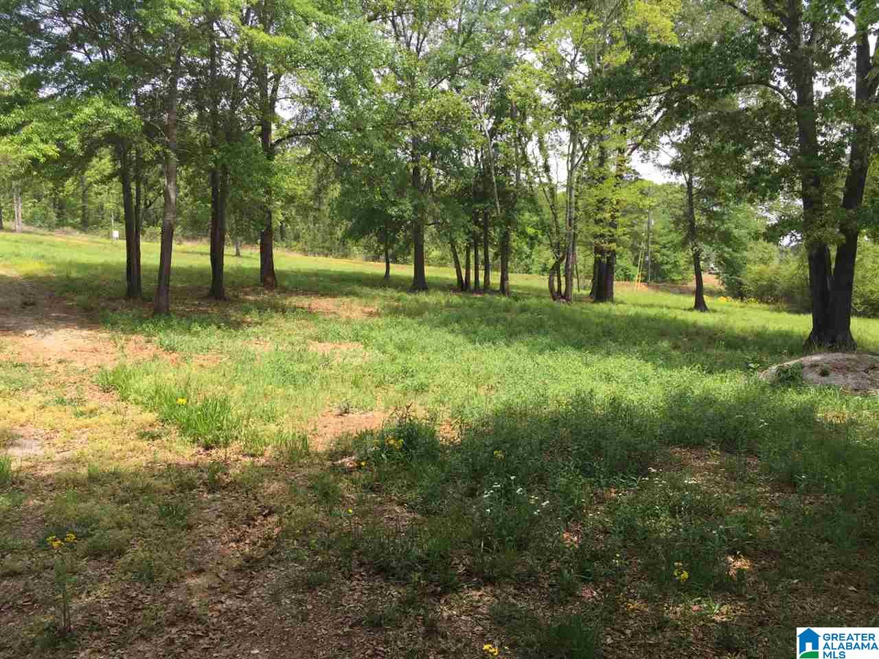 Ranch Marina Road Pell City, AL 35128 - Photo 6 of 8
