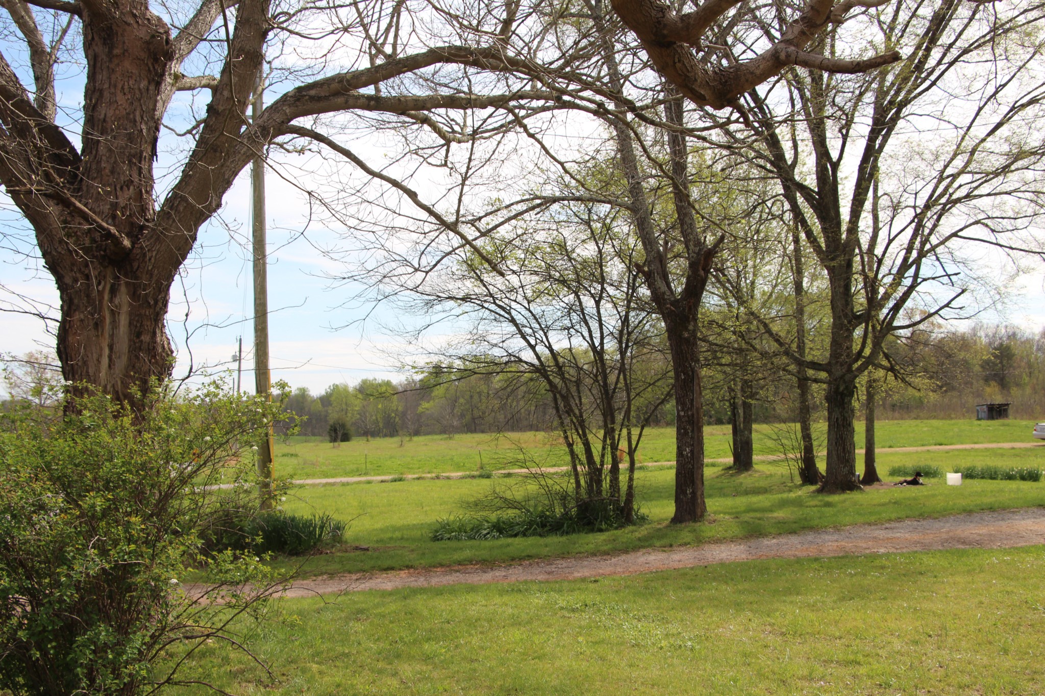 43 Kidd Road Lawrenceburg, TN 38464 - Photo 8 of 19 Gallery Image 8