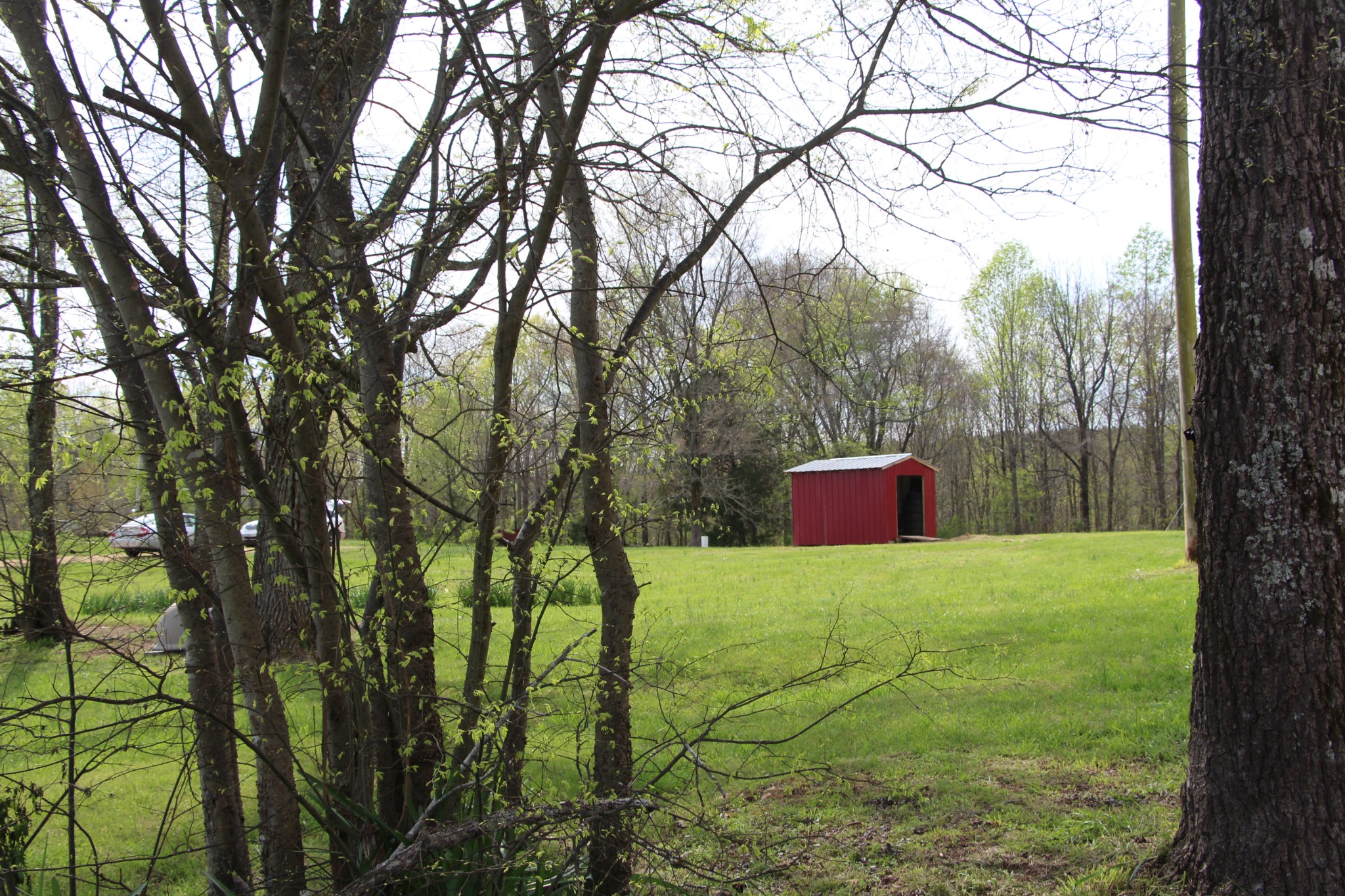 43 Kidd Road Lawrenceburg, TN 38464 - Photo 9 of 19 Gallery Image 9