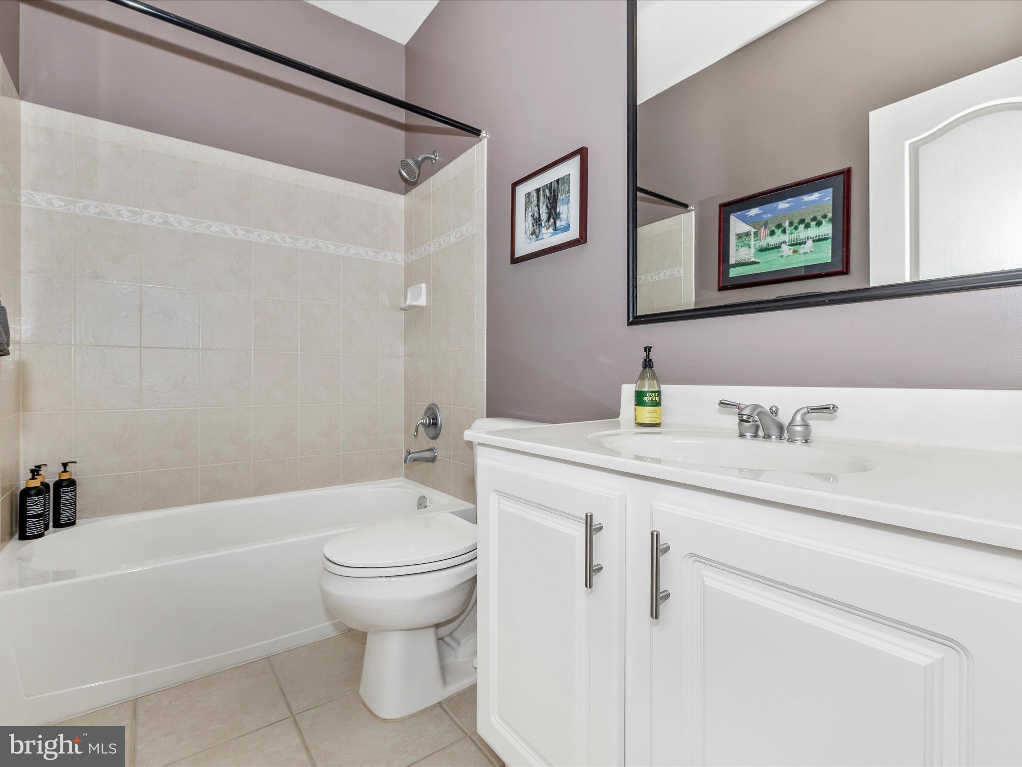 2661 Monocacy Ford Road Frederick, MD 21701 - Photo 35 of 52 a bathroom with a sink a toilet and a bathtub