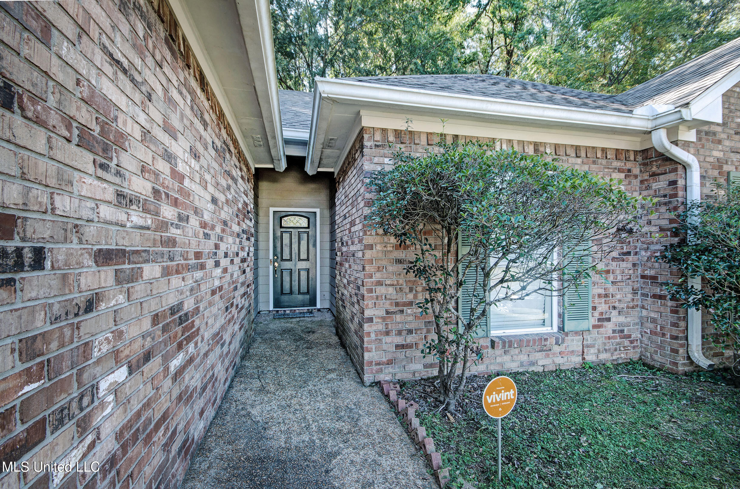 2017 Rolling Hill Drive Brandon, MS 39042 - Photo 3 of 26 IMGP3374_5_6