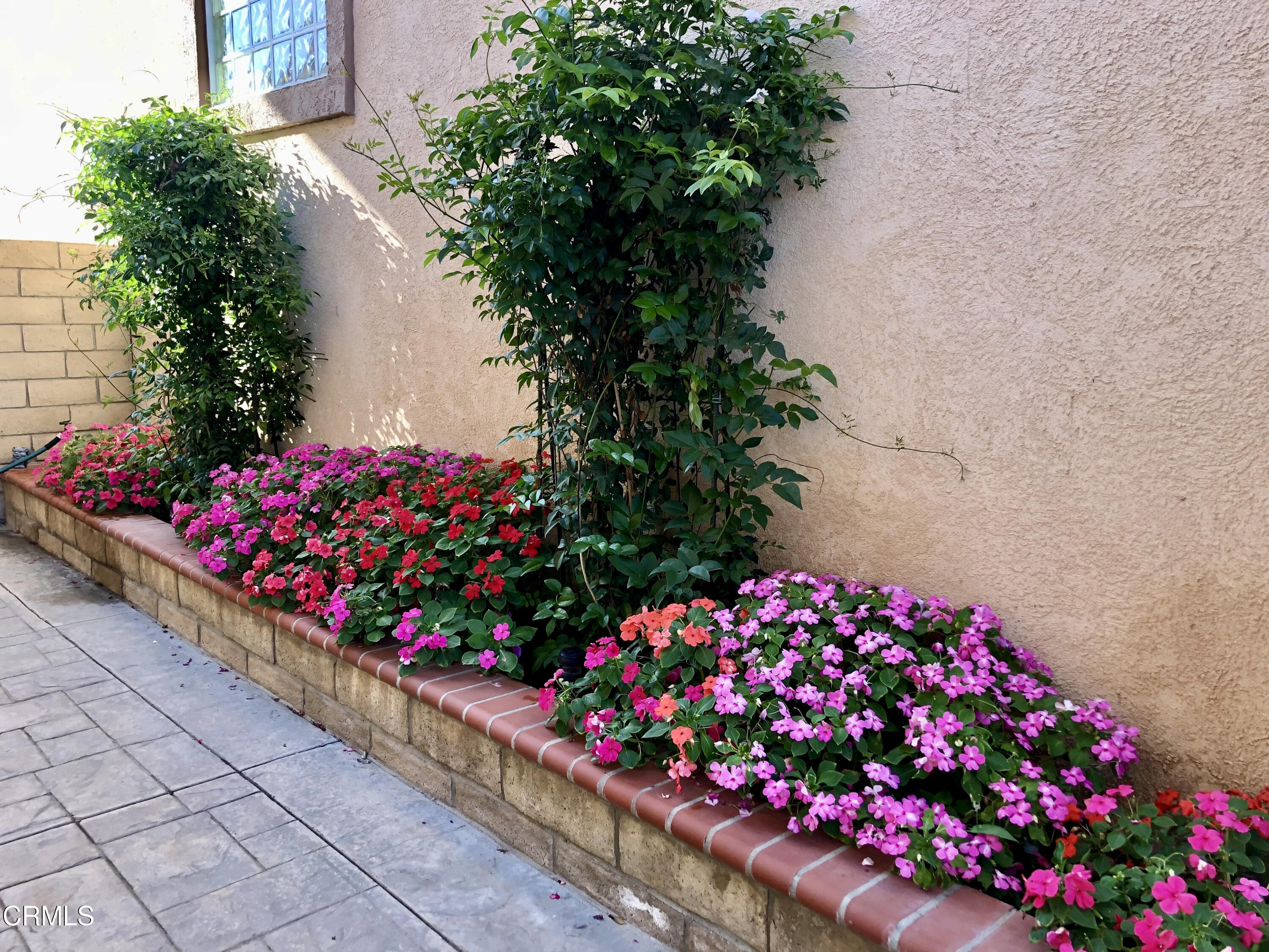 2855 La Plata Drive Camarillo, CA 93010 - Photo 35 of 52 EDC13101-BC22-4E2E-895D-480A0A1EB31E_1_2