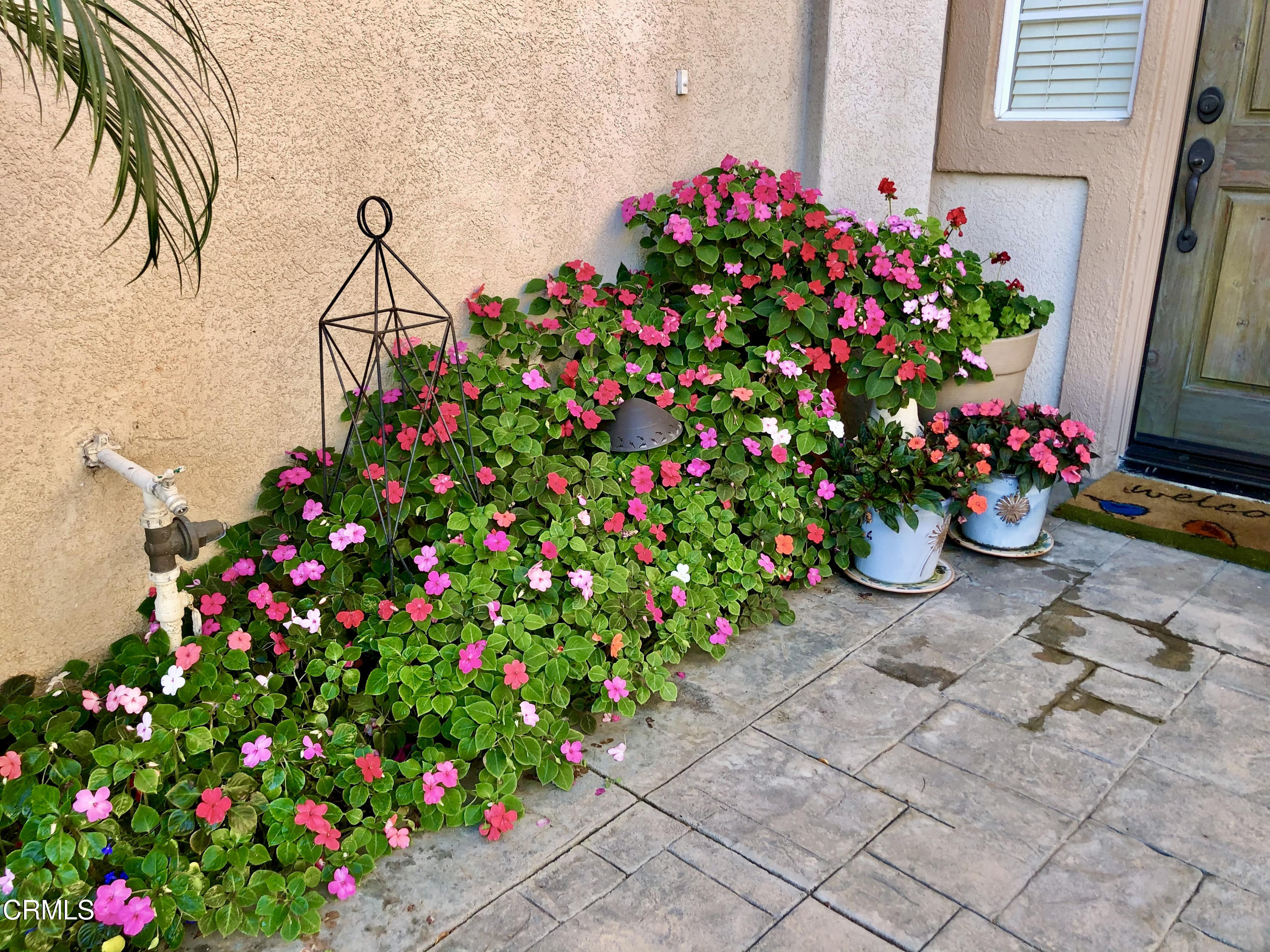 2855 La Plata Drive Camarillo, CA 93010 - Photo 49 of 52 379A3ECE-35CC-4FB8-9E11-4CB0C825F79B_1_2