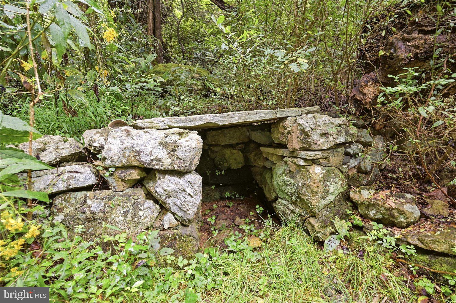19233 Blue Ridge Mountain Road Bluemont, VA 20135 - Photo 95 of 118 Historic Spring Box feeds Spring fed Pool