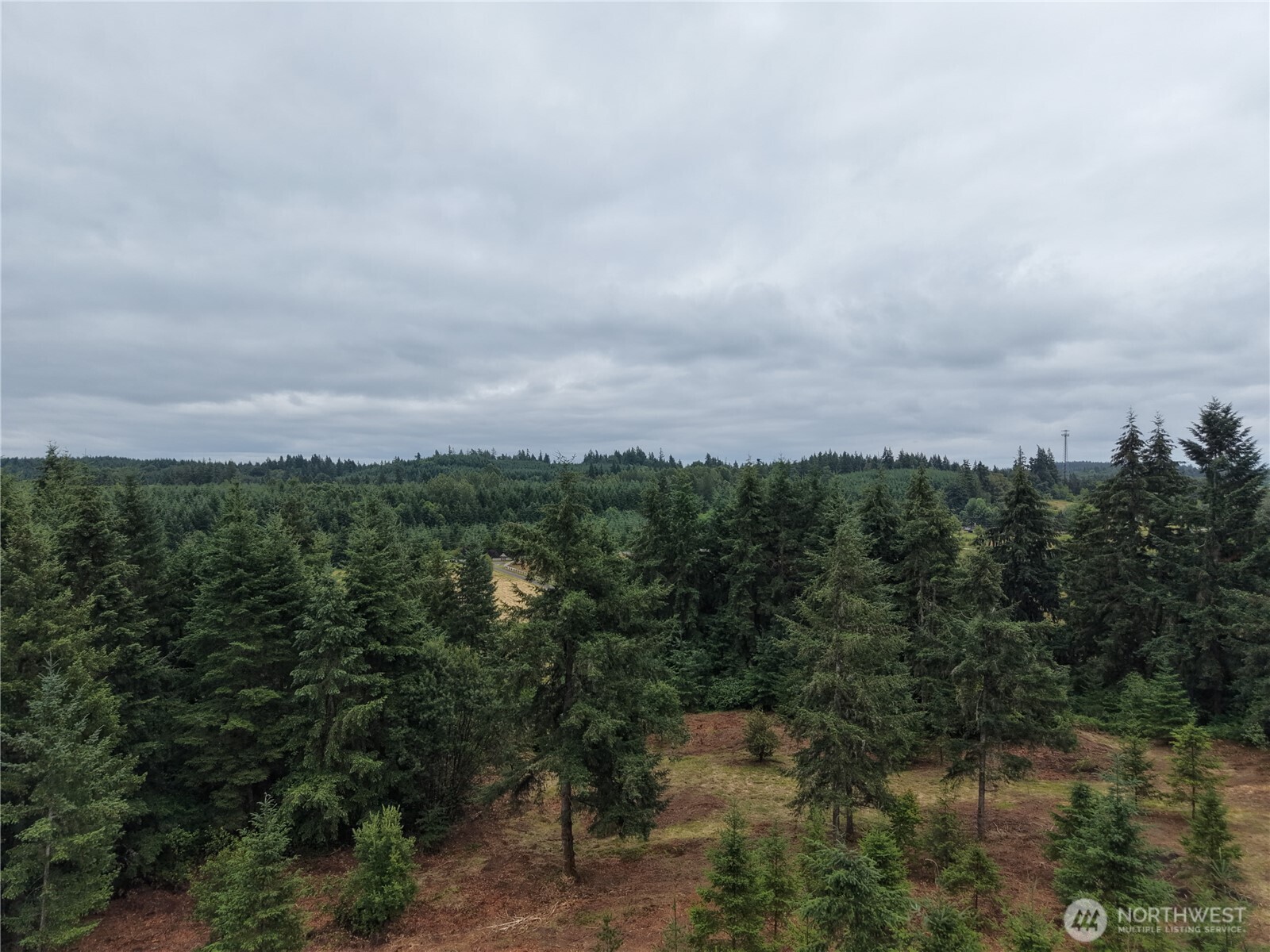 12345 Case Road Southwest Olympia, WA 98512 - Photo 21 of 35