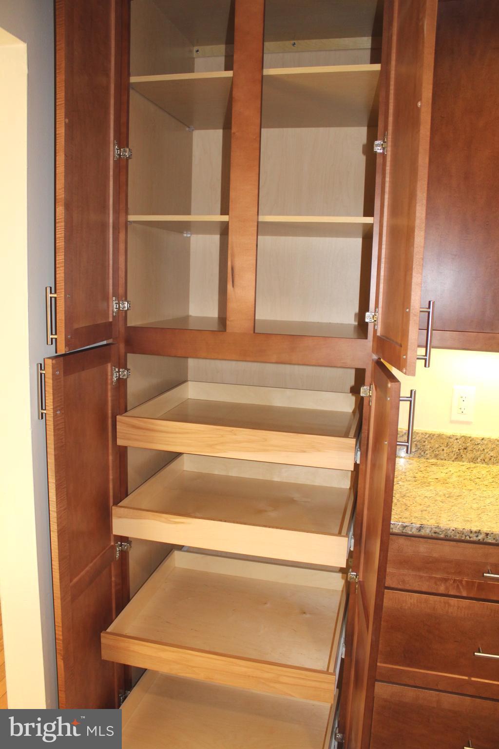 9944 Murnane Street Vienna, VA 22181 - Photo 13 of 42 Pull out storage pantry