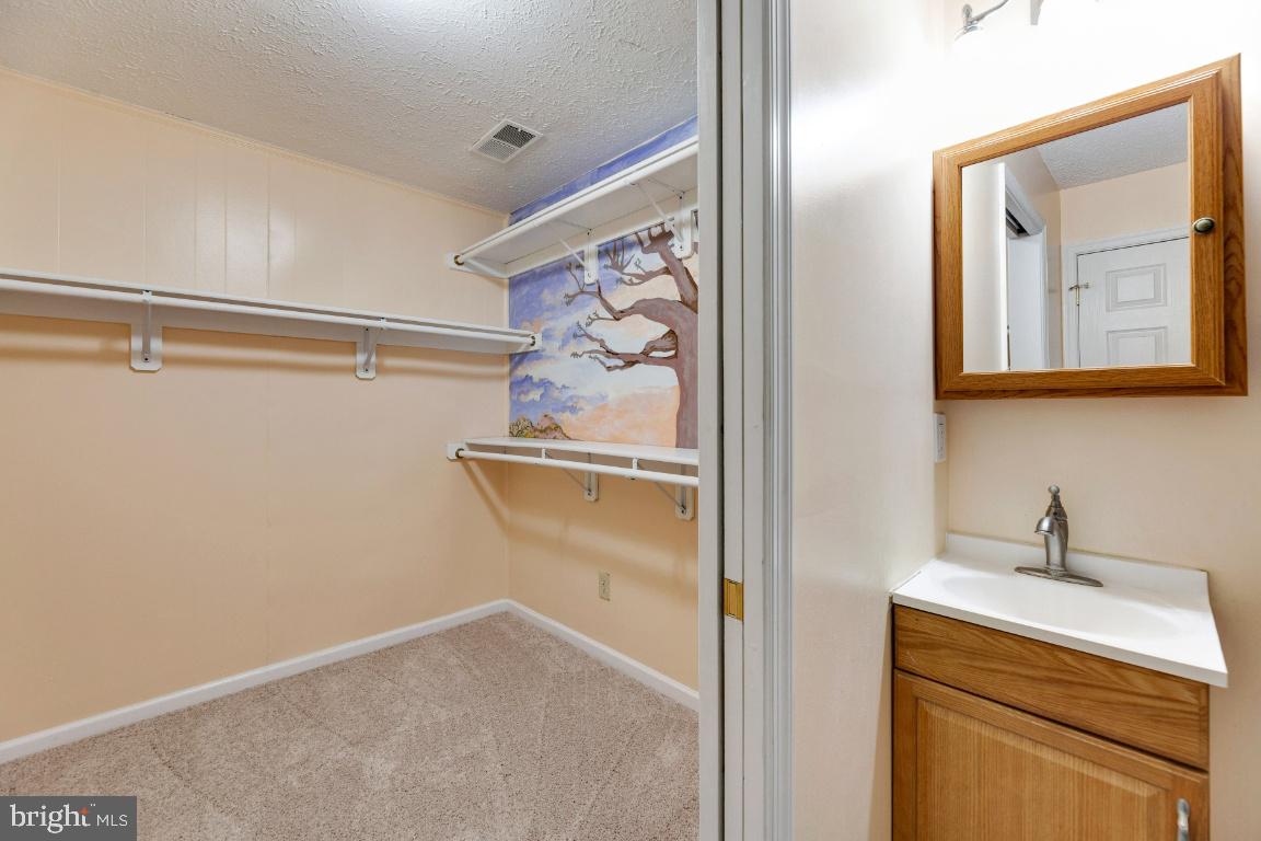 9944 Murnane Street Vienna, VA 22181 - Photo 35 of 42 Walk in closet