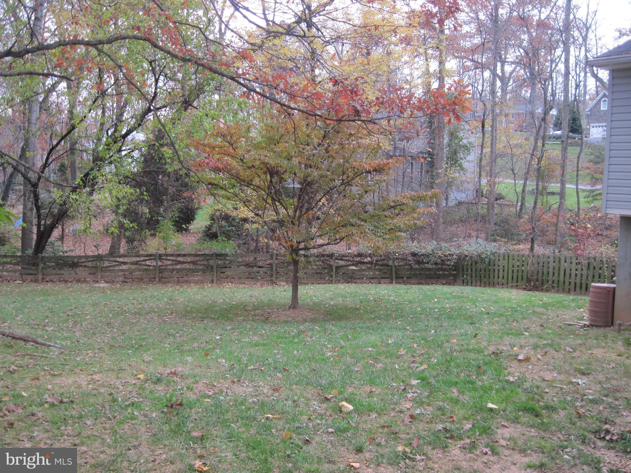 9944 Murnane Street Vienna, VA 22181 - Photo 39 of 42 Fenced rear yard