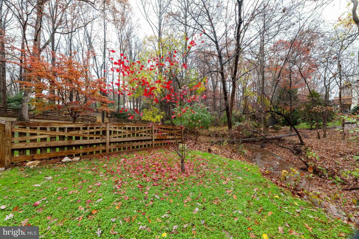 9944 Murnane Street Vienna, VA 22181 - Photo 41 of 42 Beautiful setting that's hard to find