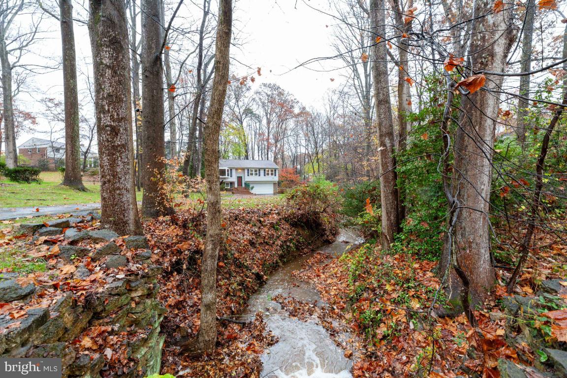 9944 Murnane Street Vienna, VA 22181 - Photo 42 of 42 Meandering stream next to the property