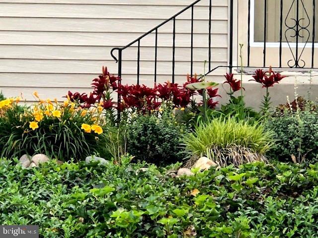 425 Stiles Avenue Maple Shade, NJ 08052 - Photo 32 of 53