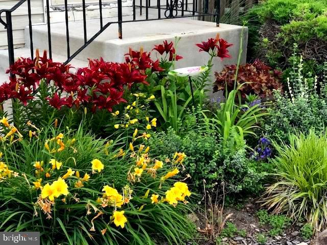 425 Stiles Avenue Maple Shade, NJ 08052 - Photo 37 of 53