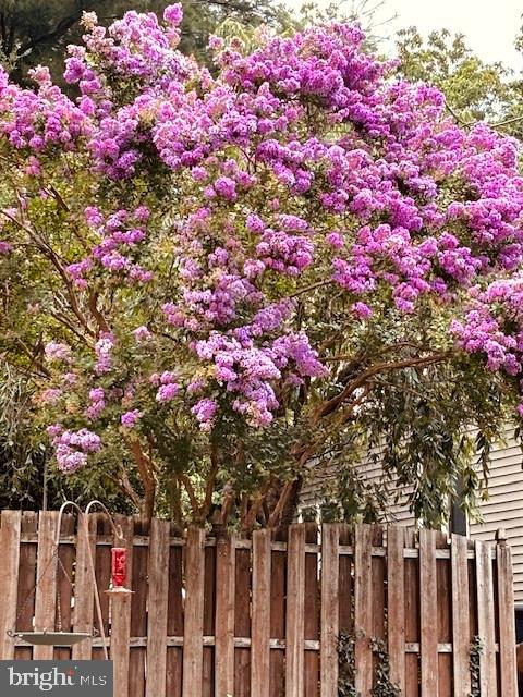 425 Stiles Avenue Maple Shade, NJ 08052 - Photo 40 of 53