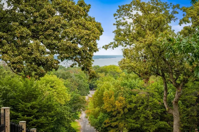 a view of a house with a tree