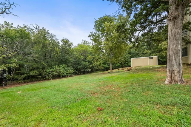 a view of a backyard