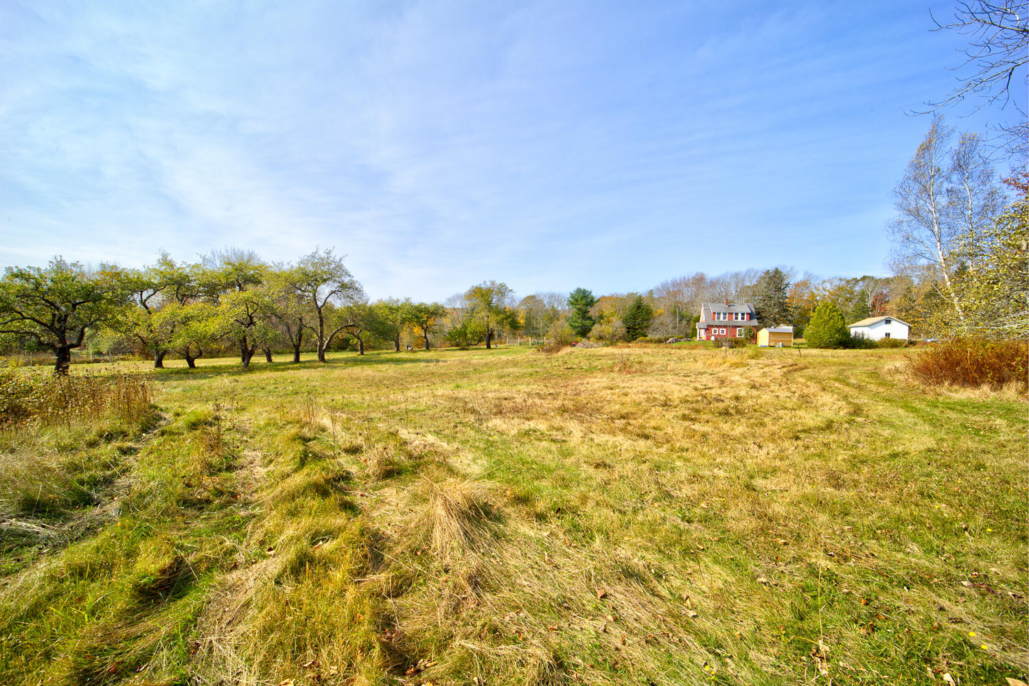 648 North Sedgwick Road Sedgwick, ME 04676 - Photo 36 of 67 B Field 3